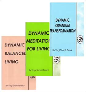Dynamic Balanced Living Series 3-Book Combination Set