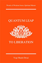 Quantum Leap to Liberation Book Cover